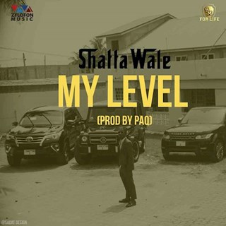 My Level by Shatta Wale Download