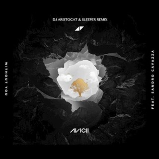 Without You by Avicii ft Sandro Cavazza Download