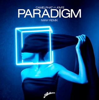 Paradigm by Camelphat ft Ame Download
