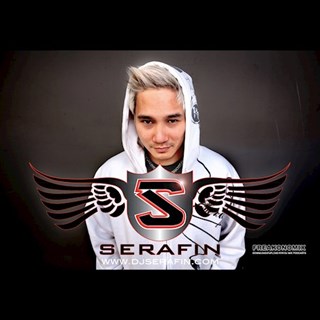 Moves Like Jagger by Serafin Download