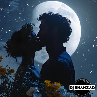 Wont Give Up On You by DJ Shahzad Download