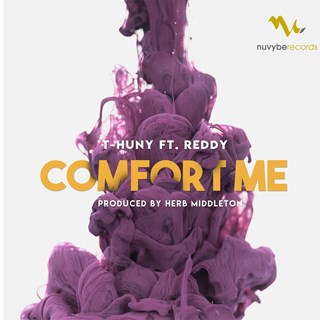 Comfort Me by T Hunny ft Reddy Download