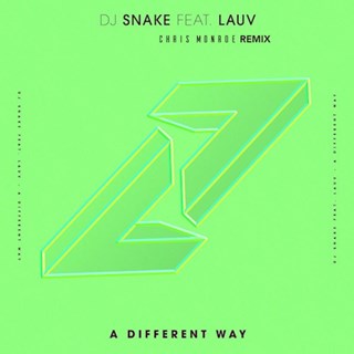 A Different Way by DJ Snake ft Lauv Download