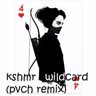Wildcard by Kshmr ft Sidney Tipton Download