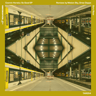 Wanna Thank Me by Cosmin Horatiu Download