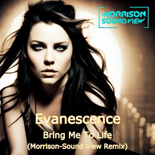 Bring Me To Life by Morrison Sound View Download