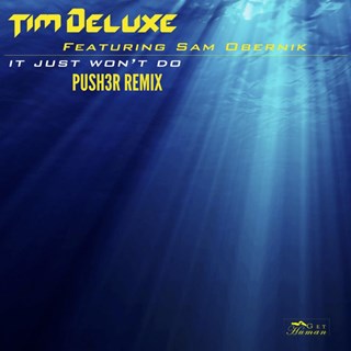 It Just Wont Do by Tim Deluxe ft Sam Obernik Download