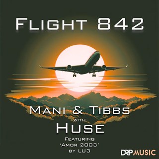 Flight 842 by Mani Tibbs With Huse Download