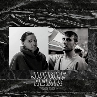 Jungle by Fred Again & Skrillex Download