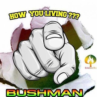 How You Living by Bushman Download