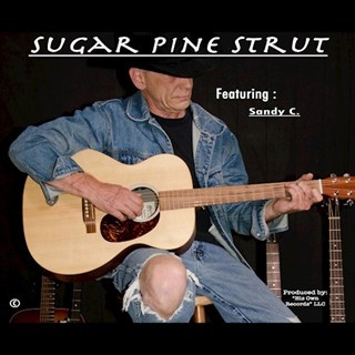 Sugar Pine Strut by Scott Hodgkisss ft Andy C Download