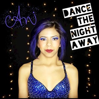 Dance The Night Away by Ani Download