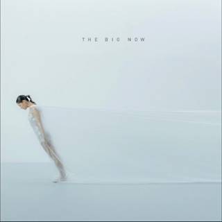 The Big Now by Little Ashes & Robot Koch Download