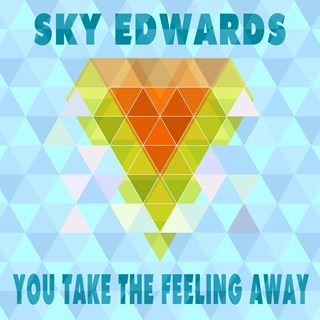 You Take The Feeling Away by Sky Edwards Download