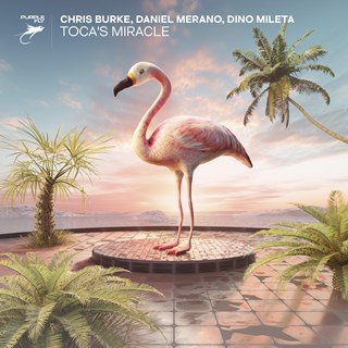 Tocas Miracle by Chris Burke, Daniel Merano, Dino Mileta Download