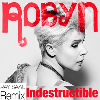 Indestructible by Robyn Download