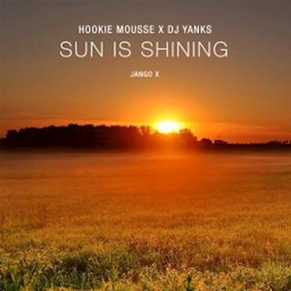 Sun Is Shining by Hookie Mouse & DJ Yanks Download