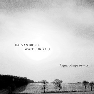 Wait For You by Kai Van Bjonik Download