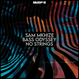 Like This by Sam Mkhize & Bass Odyssey Download