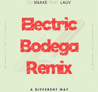 A Different Way by DJ Snake ft Lauv Download