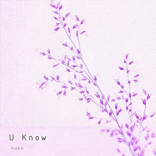 U Know by Haks Download