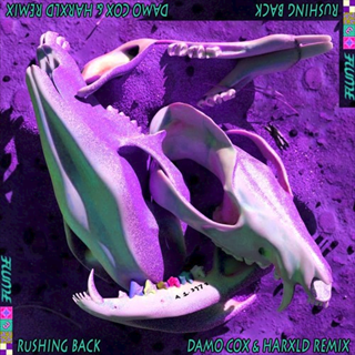 Rushing Back by Flume ft Vera Blue Download