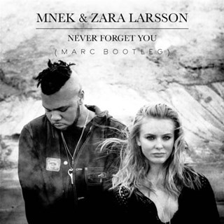 Never Forget You by Zara Larson & Mnek Download