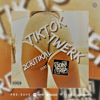 Tiktok Twerk by 2Critikal & Yella Beatz ft Don Trip Download
