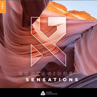 Contagious Sensations by Yri Download