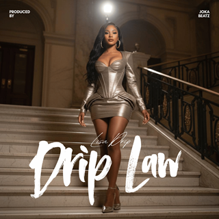 Private Valet by Lisa Drip Download