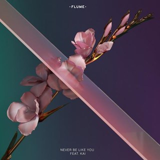 Never Be Like You by Flume ft Kai Download