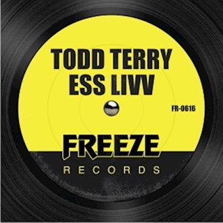 Ess Livv by Todd Terry Download