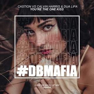 Youre The One Kiss by Castion vs Calvin Harris & Dua Lipa Download