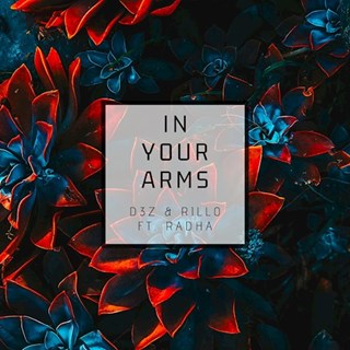 In Your Arms by D3z & Rill0 ft Radha Download