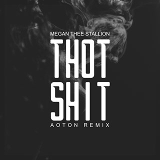 Thot Shit by Megan Thee Stallion Download