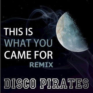 This Is What You Came For by Disco Pirates Download