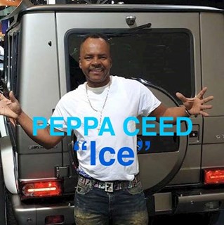 Ice by Peppa Ceed Download