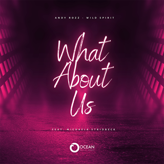 What About Us by Andy Rozz & Wild Spirit ft Michaela Stridbeck Download