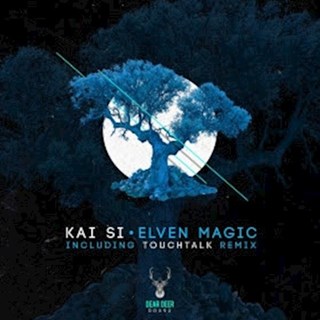 Elven Magic by Kai Si Download