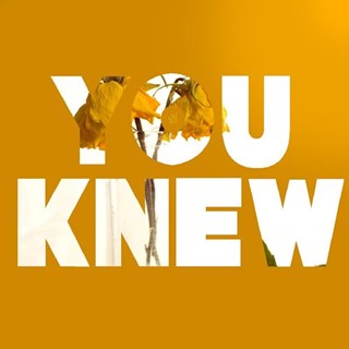 You Knew by Stevie Rizo Download