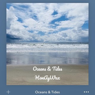 Oceans & Tides by Honaywax Download