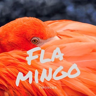 Flamingo by Twosome Download