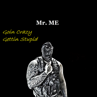 Goin Crazy Gettin Stupid by Mr Me Download