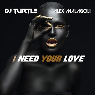 I Need Your Love by DJ Turtle & Alex Malagoli Download
