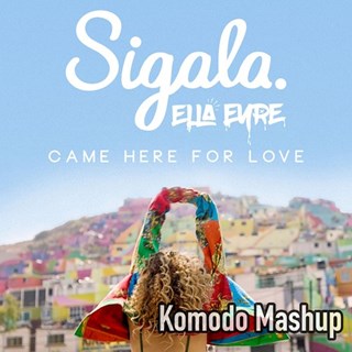 Came Here For Party by Sigala X Beastie Boys X Nora En Pure X DJ Issac Download