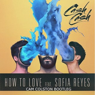 How To Love by Cash Cash ft Sofia Reyes Download