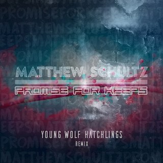 Promise For Keeps by Matthew Schultz Download