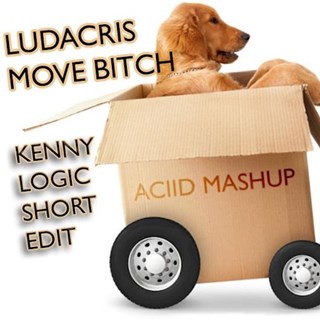 Move Bitch by Ludacris Download