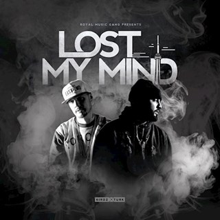 Lost My Mind by 6Irdz ft Turk Download