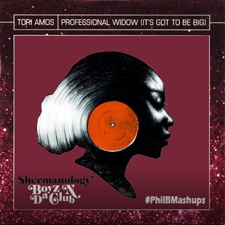 Tori Amos N Da Club by Phil B Download